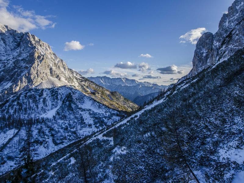 Newly Renovated Bachelor Apartment - Toronto
